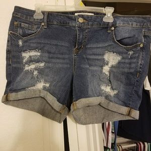 Torrid shorts